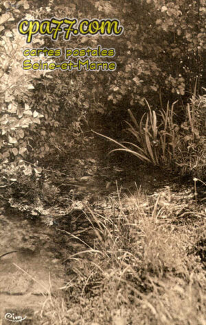 Hondevilliers (Seine-et-Marne) - Les Sous-bois