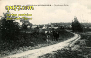 Isles Lès Meldeuses (Seine-et-Marne) - Chemin des Illettes