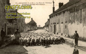 Jaignes (Seine-et-Marne) - La Rue de l&rsquo;Abbaye – Troupeau partant aux champs