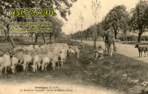 Jossigny (Seine-et-Marne) - La Sortie du troupeau – Route de Meaux à Paris