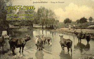 Jouy Le Châtel (Seine-et-Marne) - Etang de Beaupré
