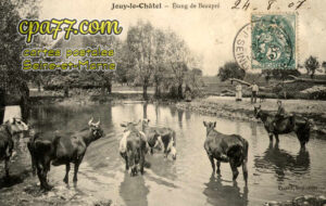 Jouy Le Châtel (Seine-et-Marne) - Etang de Beaupré