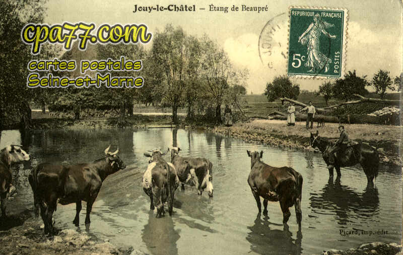 Jouy Le Châtel (Seine-et-Marne) - Etang de Beaupré