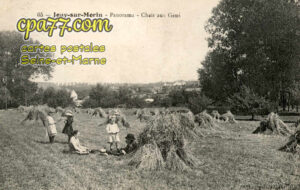 Jouy Sur Morin (Seine-et-Marne) - Panorama