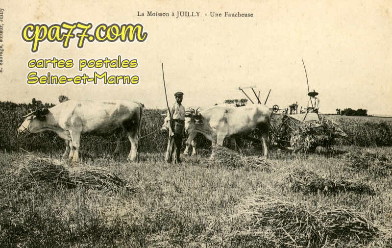Juilly (Seine-et-Marne) - La Moisson à Juilly