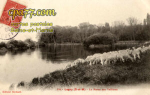 Lagny Sur Marne (Seine-et-Marne) - La Marne aux Vallières