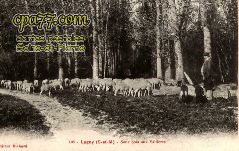 Lagny Sur Marne (Seine-et-Marne) - Sous bois aux Vallières