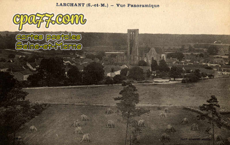 Larchant (Seine-et-Marne) - Vue Panoramique