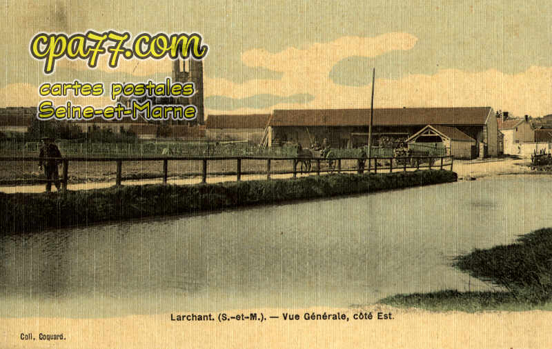Larchant (Seine-et-Marne) - Vue Générale, côté Est
