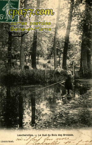 Lescherolles (Seine-et-Marne) - Le Gué du Bois des Brosses