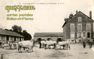 Lieusaint (Seine-et-Marne) - La Ferme du Colombier