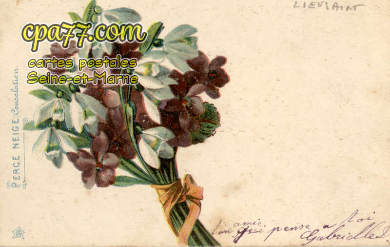 Lieusaint (Seine-et-Marne) - Carte Bouquet Fleurs