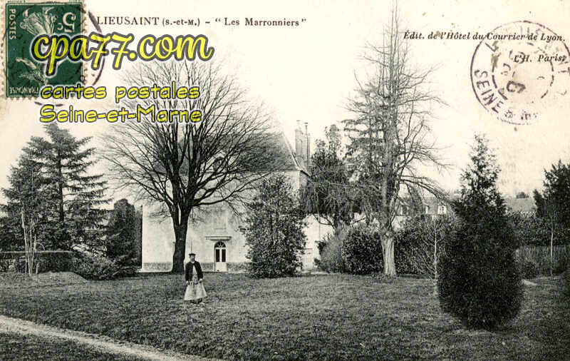 Lieusaint (Seine-et-Marne) - « Les Marronniers »