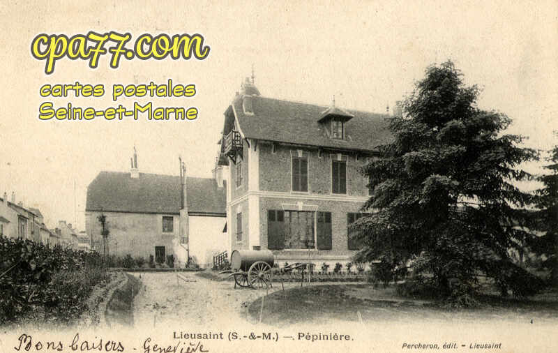 Lieusaint (Seine-et-Marne) - Pépinière