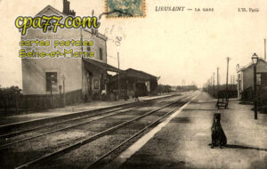 Lieusaint (Seine-et-Marne) - La Gare