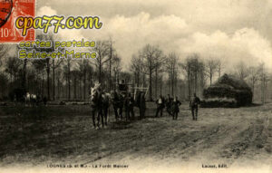 Lognes (Seine-et-Marne) - La Fôret Menier