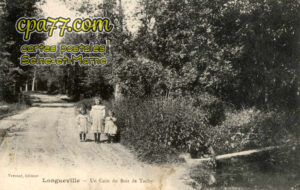 Longueville (Seine-et-Marne) - Un Coin du Bois de Tachy