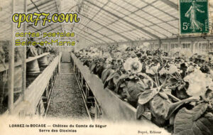 Lorrez Le Bocage Préaux (Seine-et-Marne) - Château du Comte de Ségur – Serre des Gloxinias