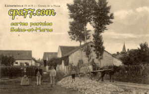 Luisetaines (Seine-et-Marne) - Chemin de la Plaine