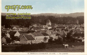 Mareuil Lès Meaux (Seine-et-Marne) - Vue générale