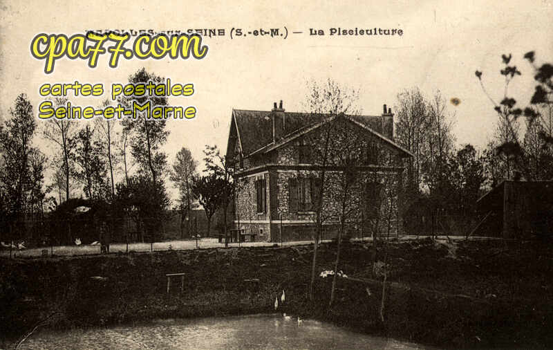 Marolles Sur Seine (Seine-et-Marne) - La Pisciculture