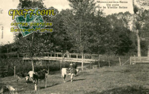 Marolles Sur Seine (Seine-et-Marne) - Un coin de la Vieille Seine