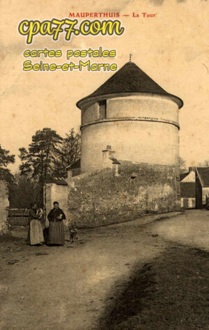 Mauperthuis (Seine-et-Marne) - La Tour