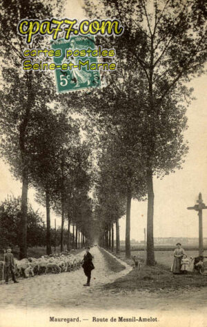 Mauregard (Seine-et-Marne) - Route de Mesnil-Amelot