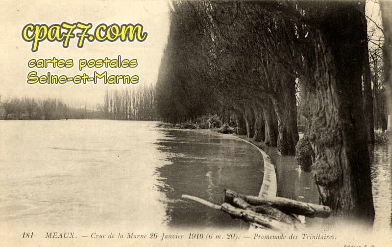 Meaux (Seine-et-Marne) - Crue de la Marne 26 Janvier 1910 (6m20) – Promenade des Trinitaires
