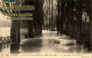 Meaux (Seine-et-Marne) - Crue de la Marne 26 Janvier 1910 (6m20) – La Promenade des Trinitaires