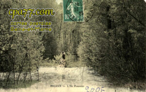 Meaux (Seine-et-Marne) - L&rsquo;Ile Pommier