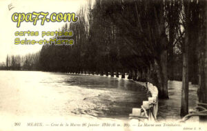 Meaux (Seine-et-Marne) - Crue de la Marne 26 janvier 1910 (6m20) – La Marne aux Trinitaires