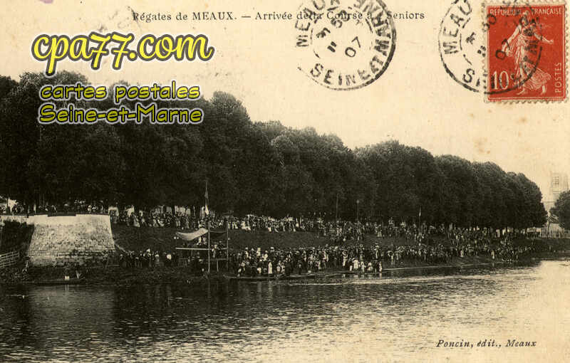 Meaux (Seine-et-Marne) - Régates – Arrivée de la Course à 4 Séniors