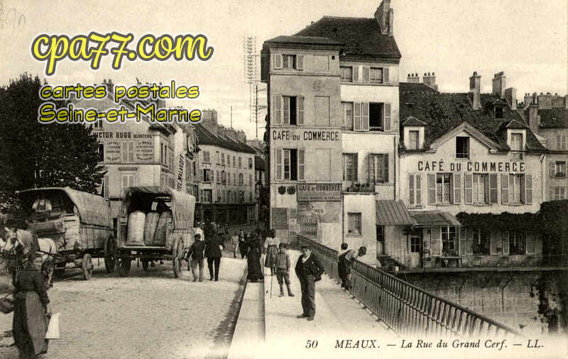 Meaux (Seine-et-Marne) - La Rue du Grand Cerf