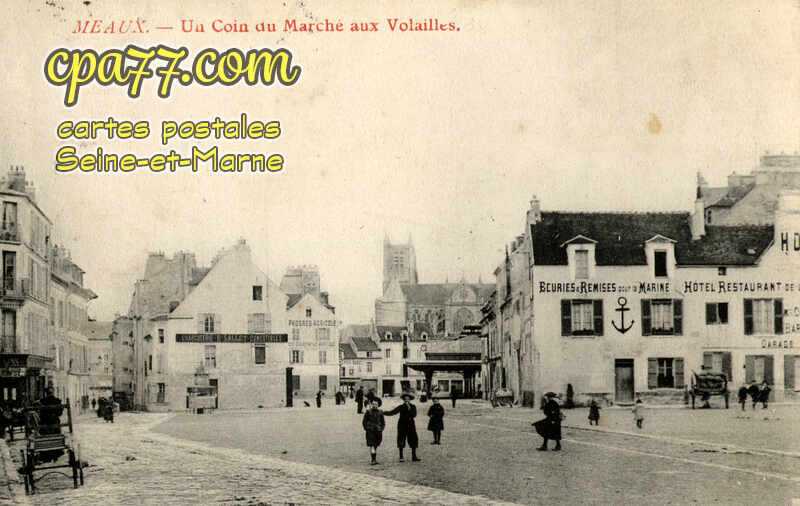 Meaux (Seine-et-Marne) - Un Coin du Marché aux Volailles