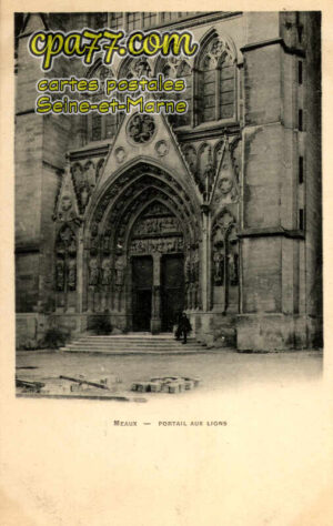 Meaux (Seine-et-Marne) - Portail aux Lions