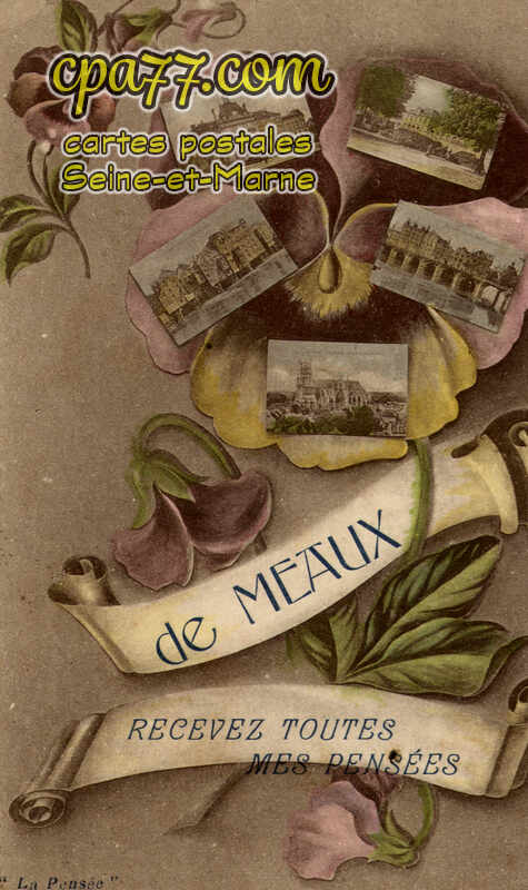 Meaux (Seine-et-Marne) - Recevez toutes mes pensées de Meaux