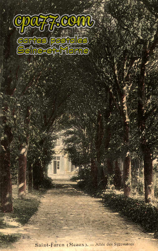 Meaux (Seine-et-Marne) - Saint-Faron – Allée des Sycomores