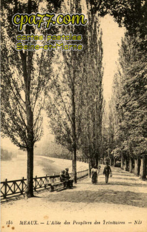 Meaux (Seine-et-Marne) - L&rsquo;Allée des Peupliers des Trinitaires