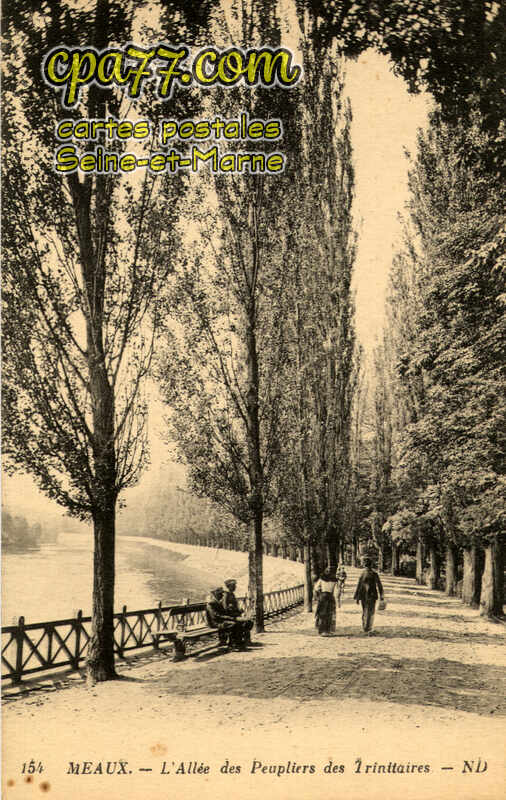 Meaux (Seine-et-Marne) - L&rsquo;Allée des Peupliers des Trinitaires
