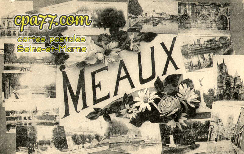 Meaux (Seine-et-Marne) - Souvenirs de Meaux