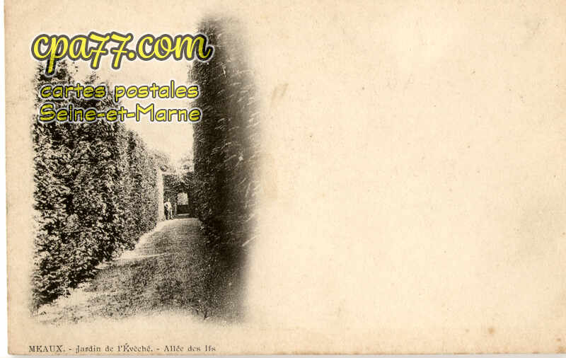 Meaux (Seine-et-Marne) - Jardin de l&rsquo;Evêché – Allée des Ifs