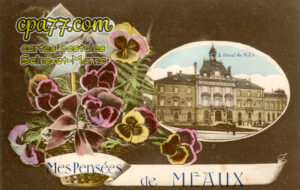 Meaux (Seine-et-Marne) - Mes pensées de Meaux