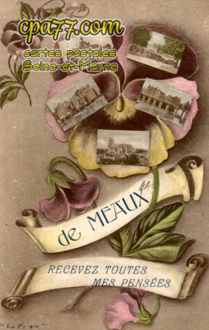 Meaux (Seine-et-Marne) - Souvenir