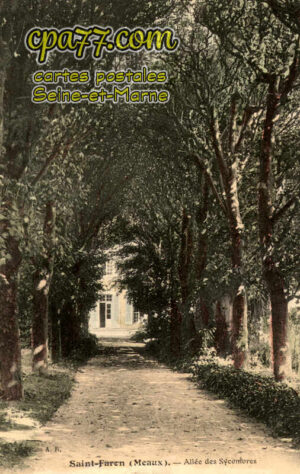 Meaux (Seine-et-Marne) - Saint-Faren (Meaux), allée des Sycombres