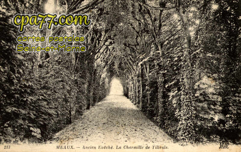 Meaux (Seine-et-Marne) - Ancien Evêché – La Charmille des Tilleuls