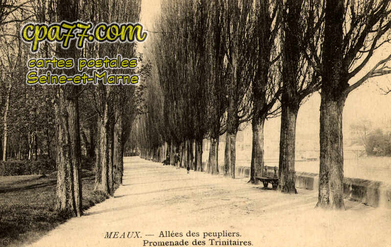 Meaux (Seine-et-Marne) - Allée des Peupliers – Promenade des Trinitaires