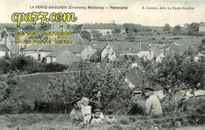 Meilleray (Seine-et-Marne) - Panorama