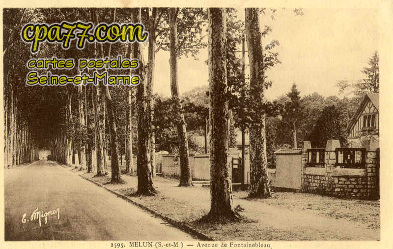 Melun (Seine-et-Marne) - Avenue de Fontainebleau