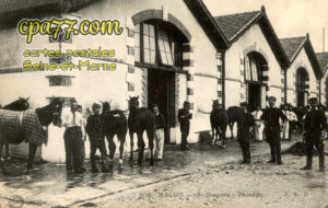 Melun (Seine-et-Marne) - 18°Dragons – Pansage